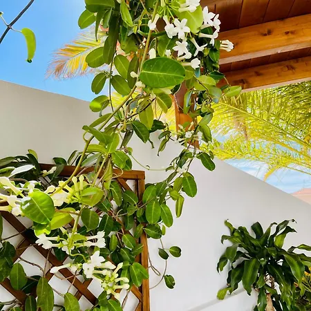 Panoramic Del Atlantico 빌라 아데제