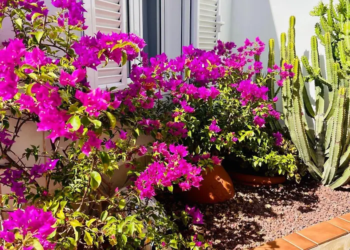 Panoramic Del Atlantico 빌라