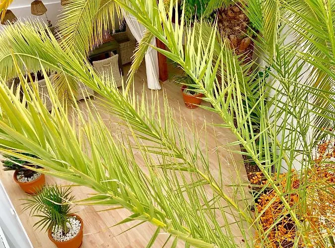 Panoramic Del Atlantico *